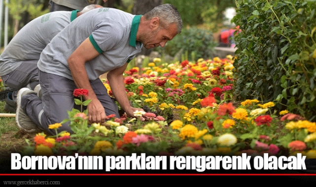 Bornova’nın parkları rengarenk olacak