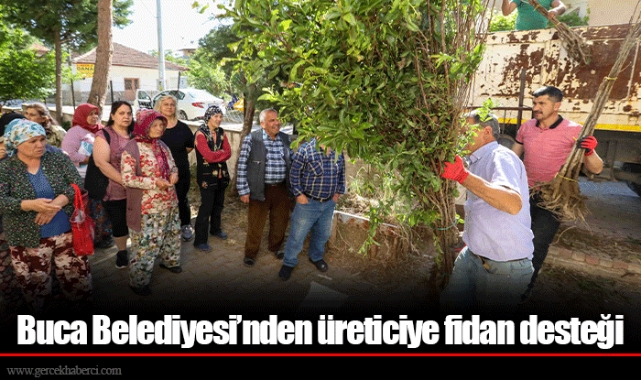Buca Belediyesi’nden üreticiye fidan desteği