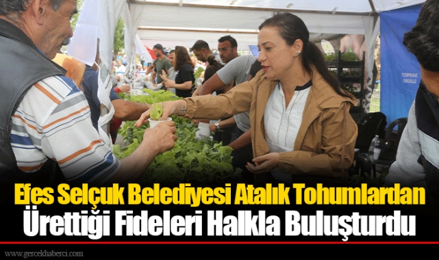 Efes Selçuk Belediyesi Atalık Tohumlardan Ürettiği Fideleri Halkla Buluşturdu