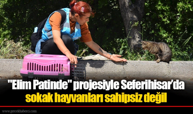 "Elim Patinde" projesiyle Seferihisar’da sokak hayvanları sahipsiz değil