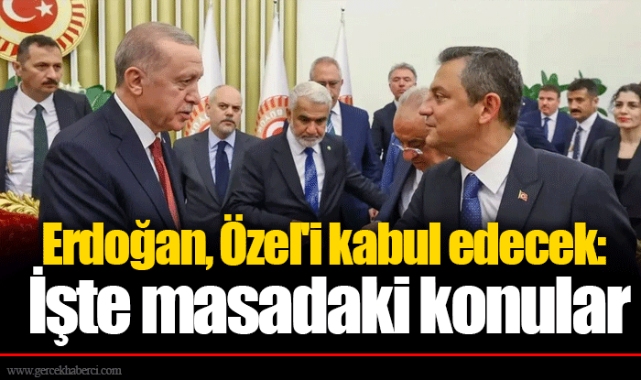 Erdoğan, Özel'i kabul edecek: İşte masadaki konular