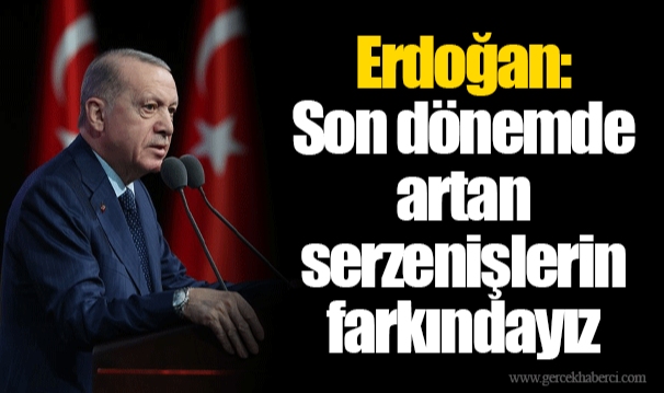 Erdoğan: Son dönemde artan serzenişlerin farkındayız