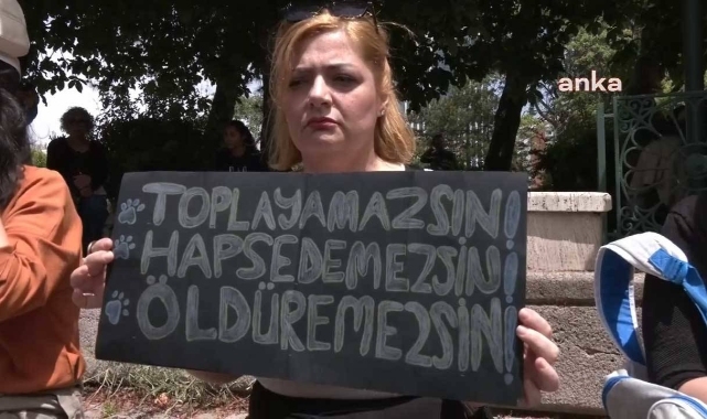 Hayvanseverlerden TBMM önünden tepki: "Hayvanların yalnız olmadığını haykırmak için buradayız''