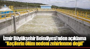 İzmir Büyükşehir Belediyesi’nden açıklama “Keçilerin ölüm nedeni zehirlenme değil”