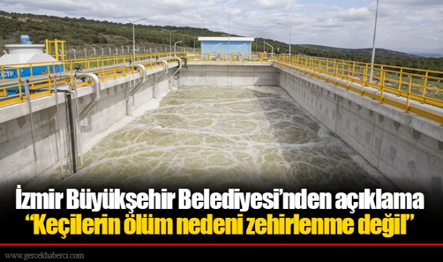 İzmir Büyükşehir Belediyesi’nden açıklama  “Keçilerin ölüm nedeni zehirlenme değil”