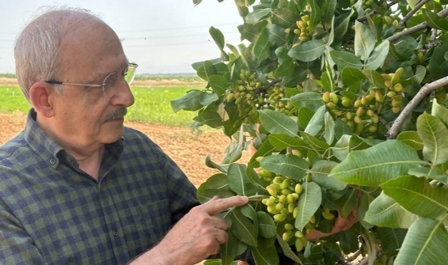 Kılıçdaroğlu’ndan 19 Mayıs’ta köy ziyareti