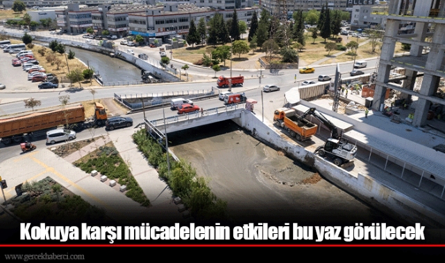 Kokuya karşı mücadelenin etkileri bu yaz görülecek