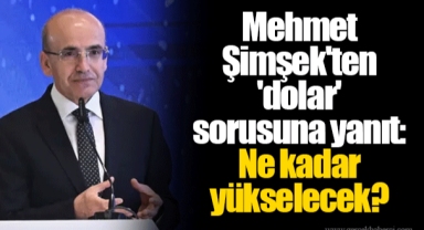 Mehmet Şimşek'ten 'dolar' sorusuna yanıt: Ne kadar yükselecek?