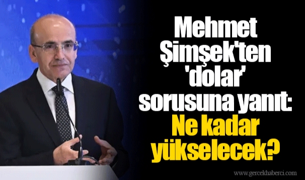 Mehmet Şimşek'ten 'dolar' sorusuna yanıt: Ne kadar yükselecek?