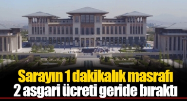 Sarayın 1 dakikalık masrafı 2 asgari ücreti geride bıraktı
