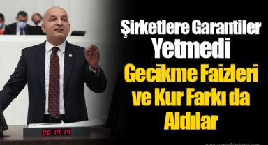 Şirketlere Garantiler Yetmedi Gecikme Faizleri ve Kur Farkı da Aldılar