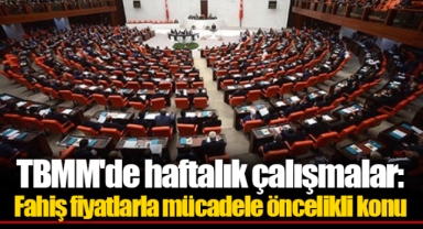 TBMM'de haftalık çalışmalar: Fahiş fiyatlarla mücadele öncelikli konu