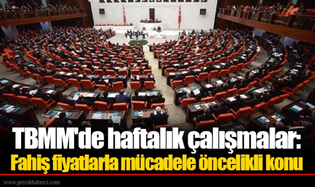 TBMM'de haftalık çalışmalar: Fahiş fiyatlarla mücadele öncelikli konu