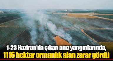 1-23 Haziran'da çıkan anız yangınlarında, 1116 hektar ormanlık alan zarar gördü