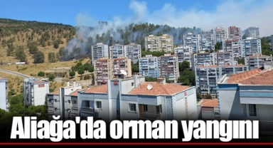 Aliağa'da orman yangını