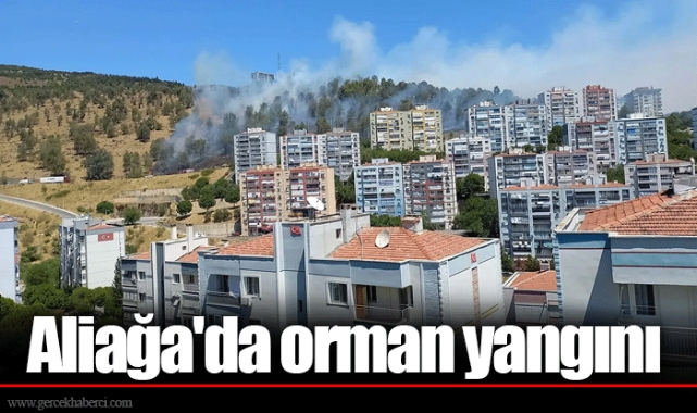 Aliağa'da orman yangını