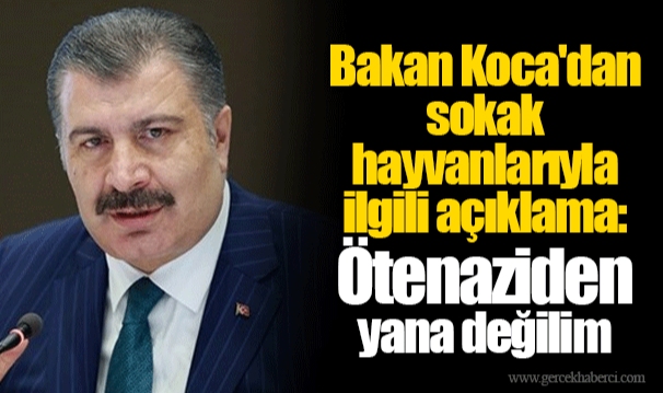 Bakan Koca'dan sokak hayvanlarıyla ilgili açıklama: Ötenaziden yana değilim