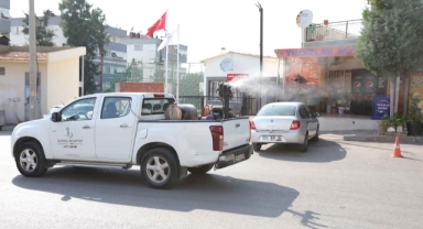 Bayraklı'da ilaçlama seferberliği