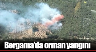 Bergama’da orman yangını