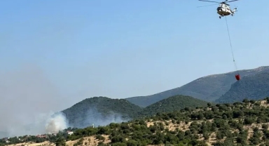 Bir orman yangını da Balıkesir'de: Havadan ve karadan müdahale ediliyor