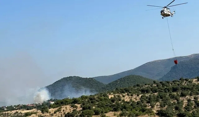 Bir orman yangını da Balıkesir'de: Havadan ve karadan müdahale ediliyor