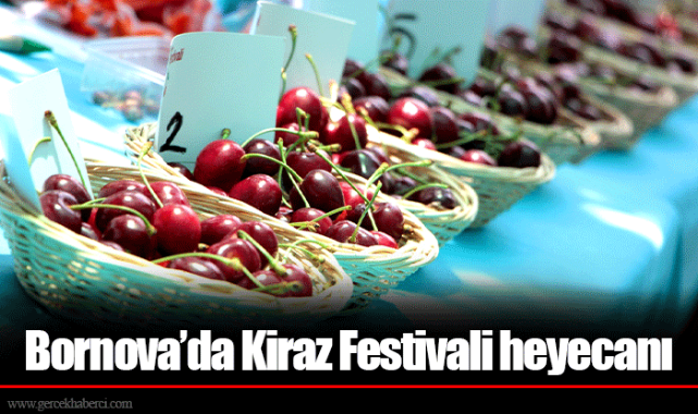 Bornova'da Kiraz Festivali heyecanı