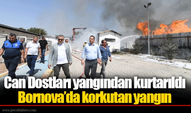 Bornova’da korkutan yangın