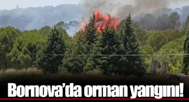 Bornova'da orman yangını!
