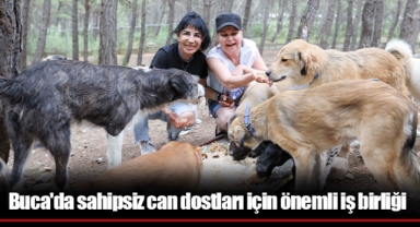 Buca'da sahipsiz can dostları için önemli iş birliği