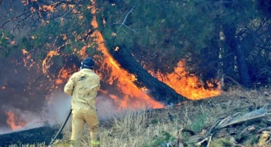 Çanakkale Valiliği'nden sıcaklık ve orman yangını uyarısı