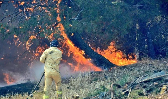 Çanakkale Valiliği'nden sıcaklık ve orman yangını uyarısı