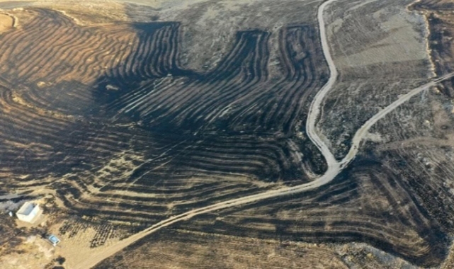Diyarbakır ve Mardin'deki yangında suç duyurusu: DEDAŞ direklerine dikkat çekildi