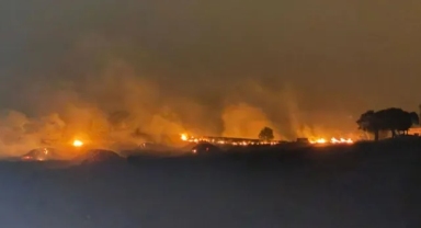 Diyarbakır ve Mardin Yangınının Nedeni Belli Oldu