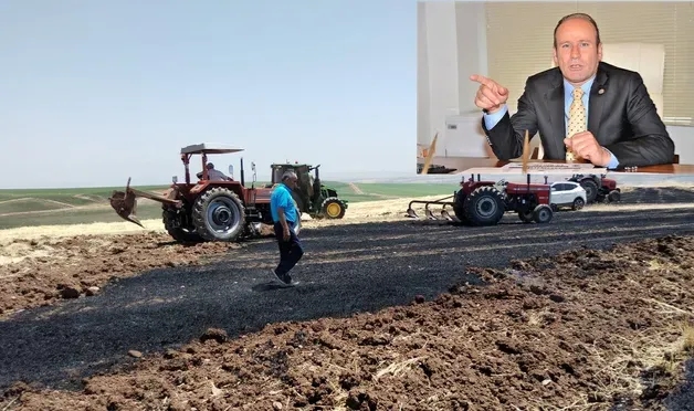 Diyarbakır Ziraat Odası Başkanı Delil'den çağrı: Zarar büyük, afet bölgesi ilan edilsin