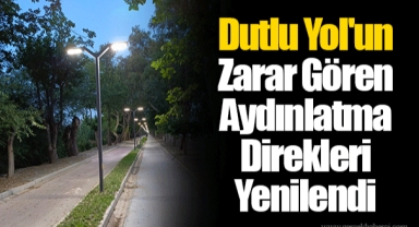 Dutlu Yol'un Zarar Gören Aydınlatma Direkleri Yenilendi