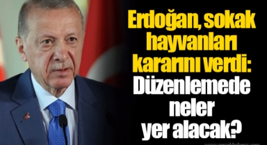 Erdoğan, sokak hayvanları kararını verdi: Düzenlemede neler yer alacak?