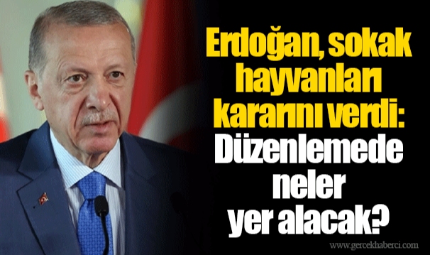 Erdoğan, sokak hayvanları kararını verdi: Düzenlemede neler yer alacak?