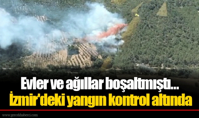 Evler ve ağıllar boşaltmıştı... İzmir'deki yangın kontrol altında
