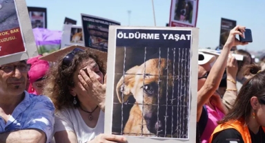 Hayvan hakları savunucuları miting düzenledi: Toplayamazsın, hapsedemezsin, öldüremezsin!