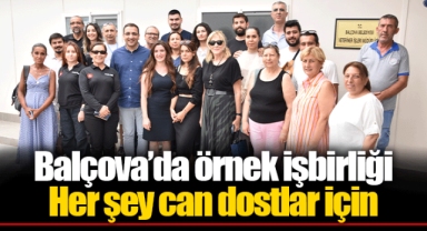 Her şey can dostlar için