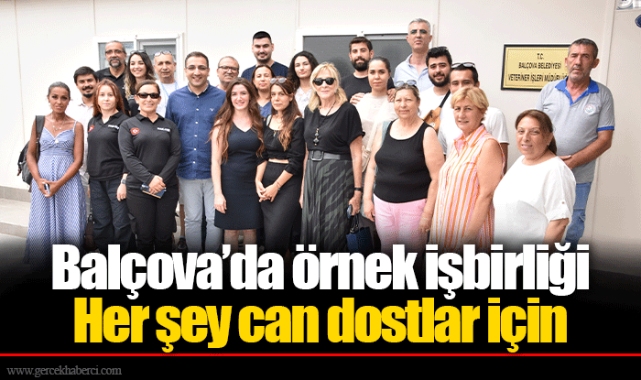 Her şey can dostlar için