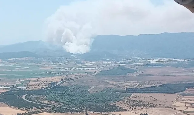 İzmir'de orman yangını! Uçaklar ve helikopterler bölgede