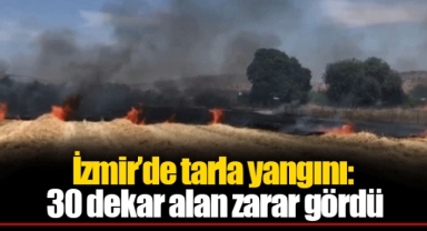 İzmir’de tarla yangını: 30 dekar alan zarar gördü