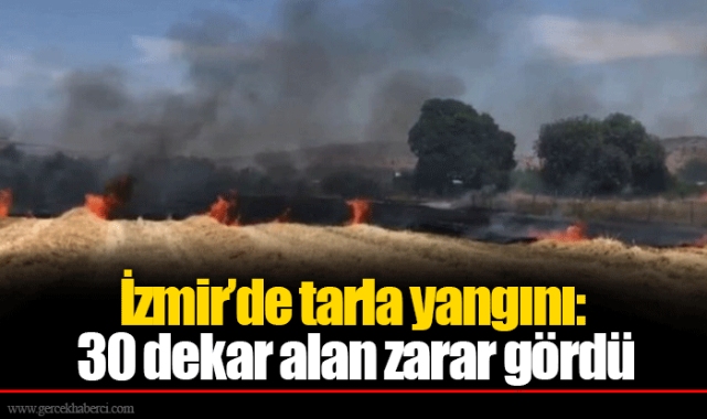 İzmir’de tarla yangını: 30 dekar alan zarar gördü