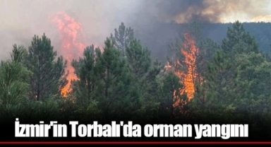 İzmir'in Torbalı'da orman yangını