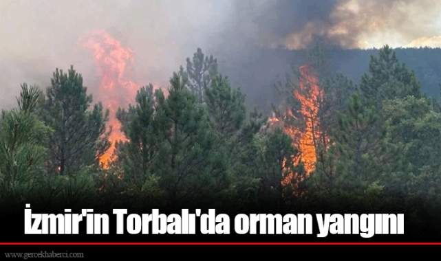 İzmir'in Torbalı'da orman yangını