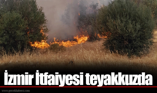 İzmir İtfaiyesi teyakkuzda
