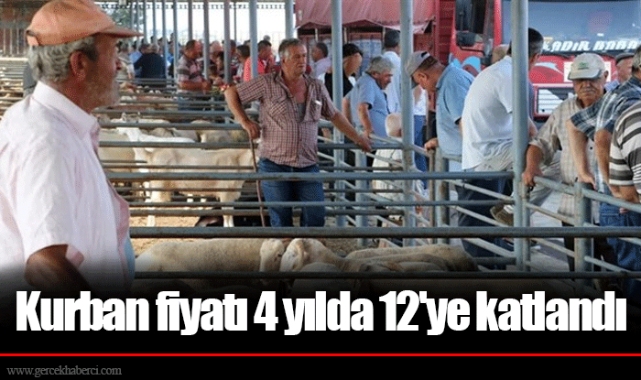 Kurban fiyatı 4 yılda 12'ye katlandı