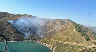 Marmaris'teki orman yangınında 5 hektar alan zarar gördü