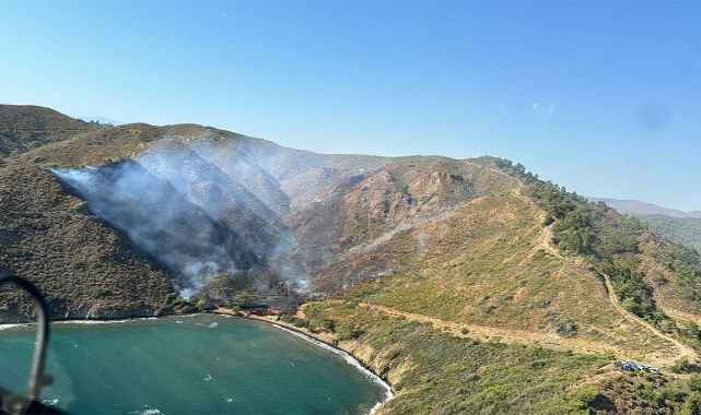 Marmaris'teki orman yangınında 5 hektar alan zarar gördü
